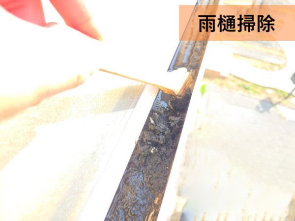 雨樋掃除　軒樋　当日対応